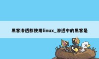 黑客渗透都使用linux_渗透中的黑客是