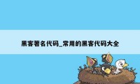 黑客著名代码_常用的黑客代码大全