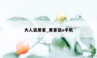 大人装黑客_黑客装x手机