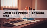 山东新能源网络配置包括什么_山东新能源政策出台