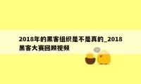 2018年的黑客组织是不是真的_2018黑客大赛回顾视频