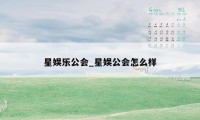 星娱乐公会_星娱公会怎么样