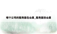 哪个公司的服务器在山里_服务器放山里