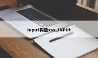 input构造xss_INPUt