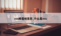 xss嘛是啥意思_什么是xss