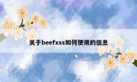 关于beefxss如何使用的信息