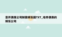 靠开偶像公司制霸娱乐圈TXT_培养偶像的娱乐公司