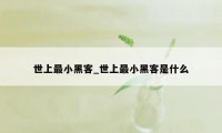 世上最小黑客_世上最小黑客是什么