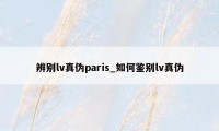 辨别lv真伪paris_如何鉴别lv真伪