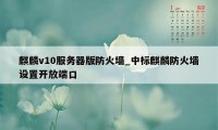 麒麟v10服务器版防火墙_中标麒麟防火墙设置开放端口