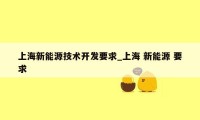 上海新能源技术开发要求_上海 新能源 要求