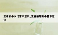 王者新手入门常识意识_王者荣耀新手基本意识