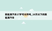 新能源汽车17岁可以开吗_18万以下的新能源汽车