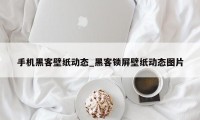 手机黑客壁纸动态_黑客锁屏壁纸动态图片