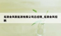 龙源金风新能源有限公司总经理_龙源金风招聘