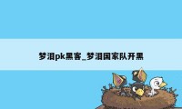 梦泪pk黑客_梦泪国家队开黑