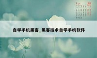 自学手机黑客_黑客技术自学手机软件