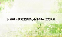 小米67w快充查真伪_小米67w快充显示