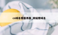 cn域名根服务器_网站根域名