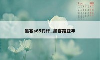 黑客s65钓杆_黑客路亚竿