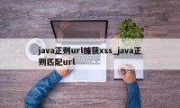 java正则url捕获xss_java正则匹配url