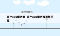 国产cpu服务器_国产cpu服务器发展历程