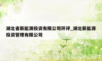 湖北省新能源投资有限公司环评_湖北新能源投资管理有限公司