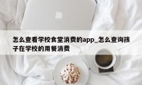 怎么查看学校食堂消费的app_怎么查询孩子在学校的用餐消费