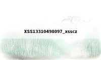 XSS13310498097_xsscz