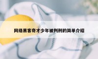 网络黑客奇才少年被判刑的简单介绍