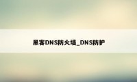 黑客DNS防火墙_DNS防护