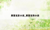 黑客无影小说_黑客无敌小说