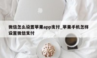 微信怎么设置苹果app支付_苹果手机怎样设置微信支付