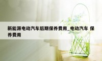 新能源电动汽车后期保养费用_电动汽车 保养费用