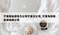 宁夏新能源电力公司宁夏分公司_宁夏电投新能源有限公司