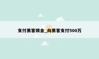 支付黑客赎金_向黑客支付500万