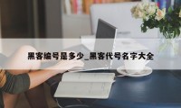 黑客编号是多少_黑客代号名字大全