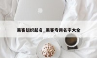 黑客组织起名_黑客专用名字大全