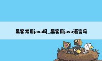 黑客常用java吗_黑客用java语言吗