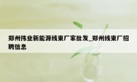 郑州伟业新能源线束厂家批发_郑州线束厂招聘信息