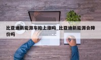 比亚迪新能源车险上涨吗_比亚迪新能源会降价吗