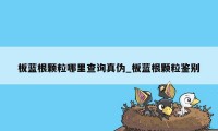 板蓝根颗粒哪里查询真伪_板蓝根颗粒鉴别