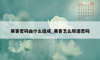 黑客密码由什么组成_黑客怎么知道密码