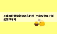 小康股份是做新能源车的吗_小康股份属于新能源汽车吗