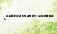 广东晶镁新能源有限公司怎样_新能源镁业简介