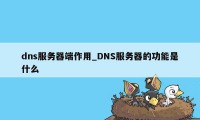dns服务器端作用_DNS服务器的功能是什么