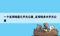 一个足球场是几平方公里_足球场多大平方公里