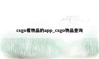 csgo看物品的app_csgo物品查询