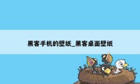 黑客手机的壁纸_黑客桌面壁纸