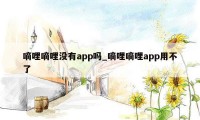 嘀哩嘀哩没有app吗_嘀哩嘀哩app用不了